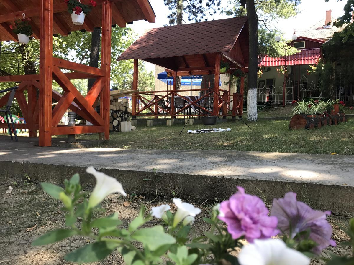 Pensiunea Basarabia Onesti Zewnętrze zdjęcie